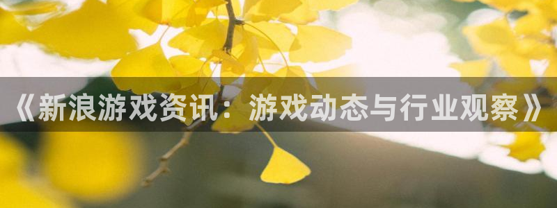 杜邦娱乐平台登录：《新浪游戏资讯：游戏动态与行业观察》