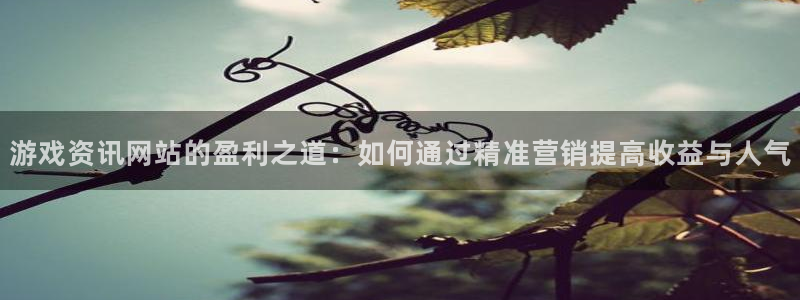 杜邦娱乐平台登录线路：游戏资讯网站的盈利之道：如何通过精准营