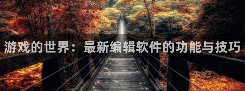杜邦娱乐网址注册：游戏的世界：最新编辑软件的功能与技巧