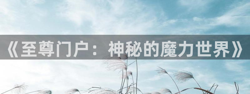 杜邦娱乐官方平台：《至尊门户：神秘的魔力世界》
