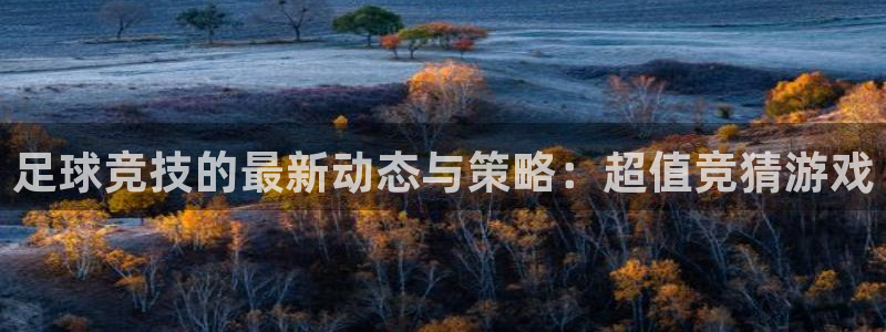 杜邦娱乐注册网站：足球竞技的最新动态与策略：超值竞猜游戏