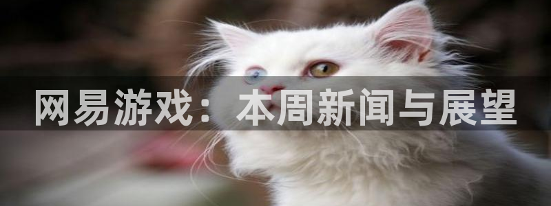 杜邦娱乐什么意思